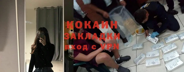 шишки Михайловка