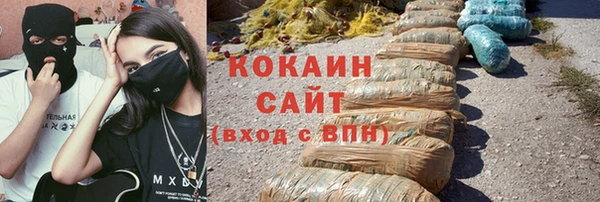 шишки Михайловка