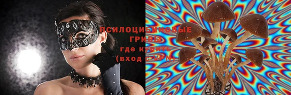 шишки Михайловка