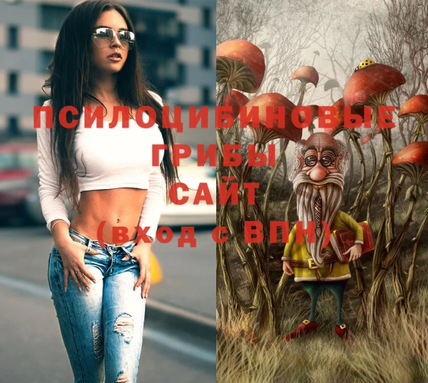 трава Михайловск