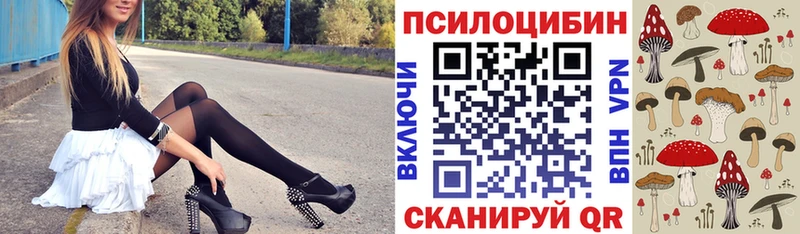 где купить наркоту  Ступино  ссылка на мегу маркетплейс  Галлюциногенные грибы прущие грибы 
