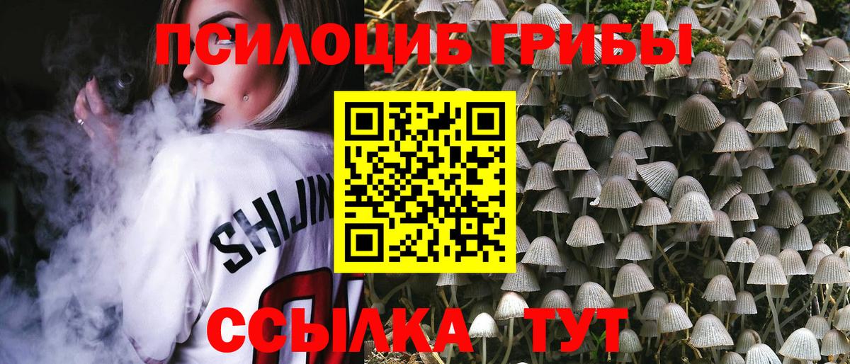 Галлюциногенные грибы Cubensis Ступино