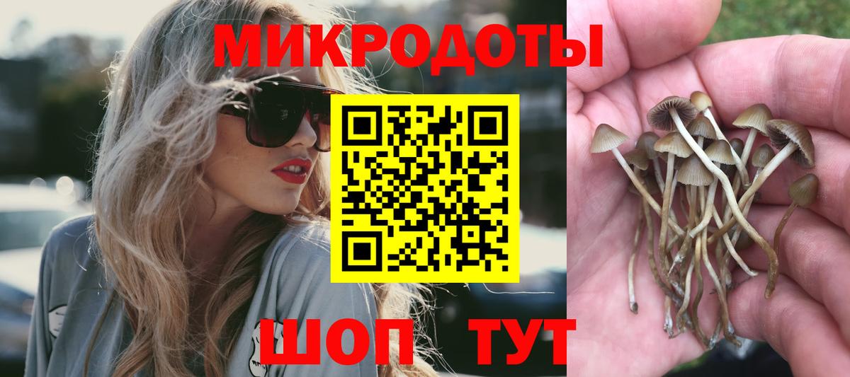 наркотики  Галлюциногенные грибы Magic Shrooms  Ступино  Псилоцибиновые грибы Magic Shrooms 