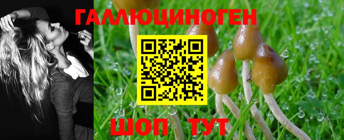 Галлюциногенные грибы Cubensis Ступино